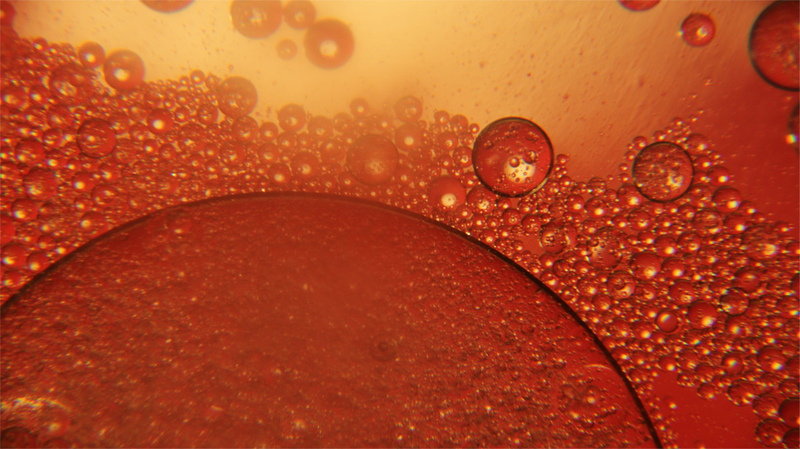 Illustration for article titled Shooting Challenge Gallery: Sunshine